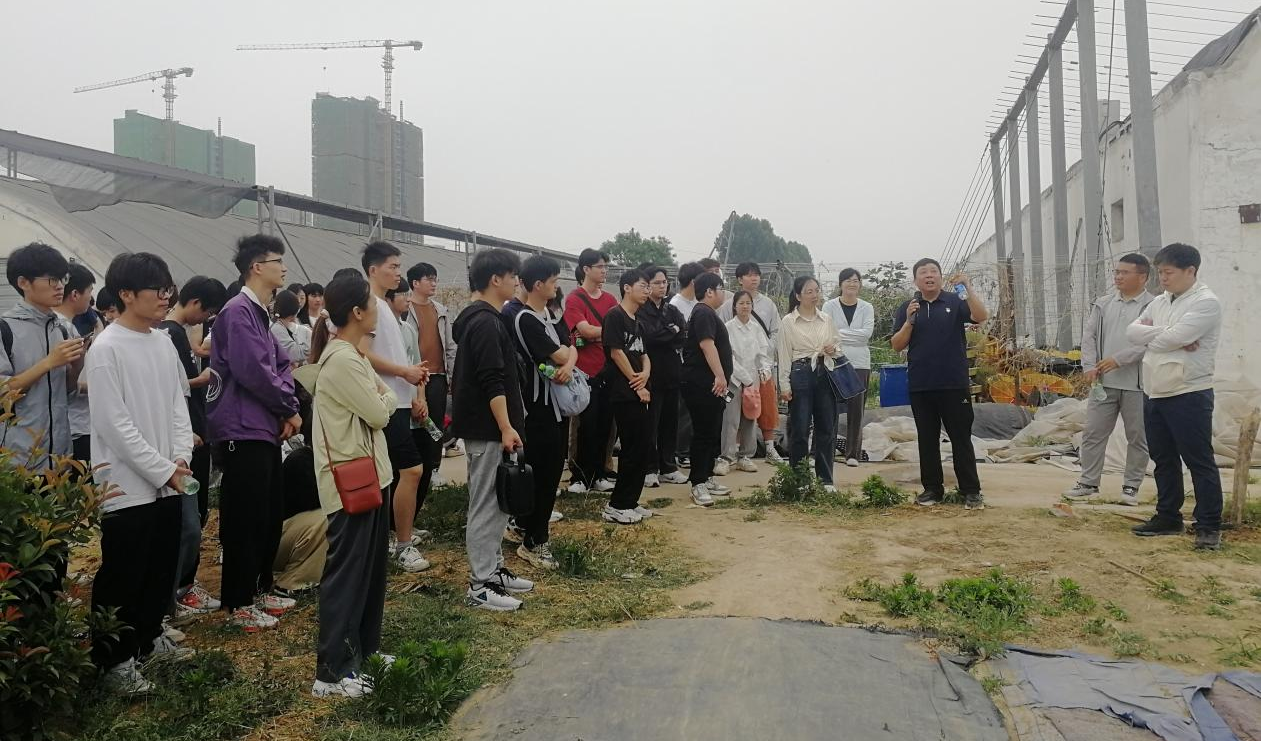 ֽ����Ϸ����