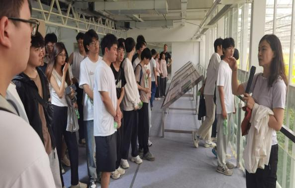 ֽ����Ϸ����