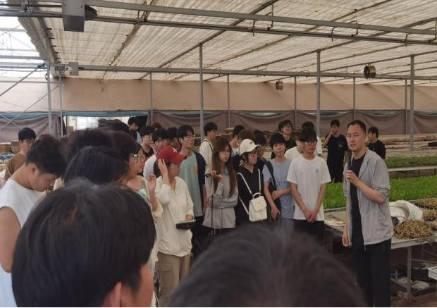 ֽ����Ϸ����