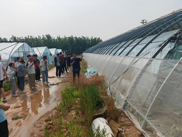 ֽ����Ϸ����