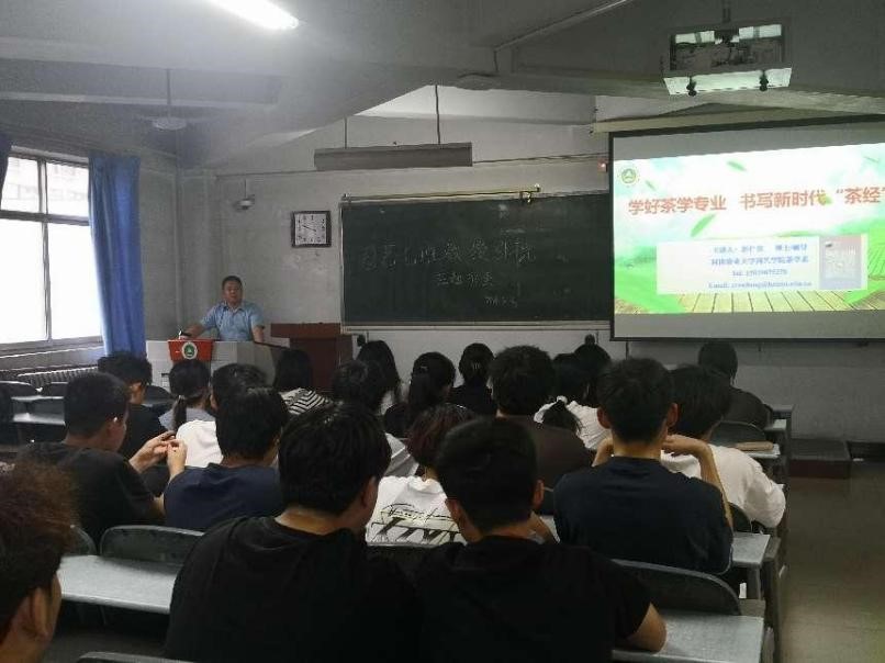 ֽ����Ϸ����