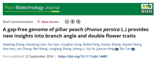 ֽ����Ϸ����