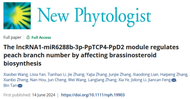 ֽ����Ϸ����